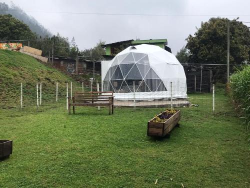 Puela Other | Quinta Verde Limón