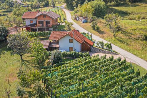 Crnomelj Apartment | Rainbow Cottage In The Vineyards - Happy Rentals