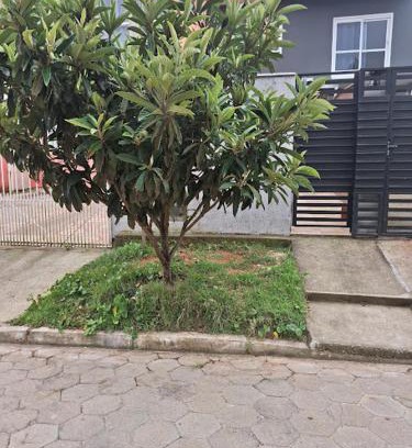 Rio Vermelho Norte House | Recanto das gérberas