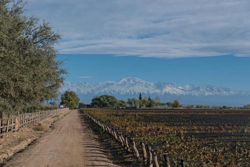 Tupungato House | Refugio exclusivo entre Viñedos y Cordillera