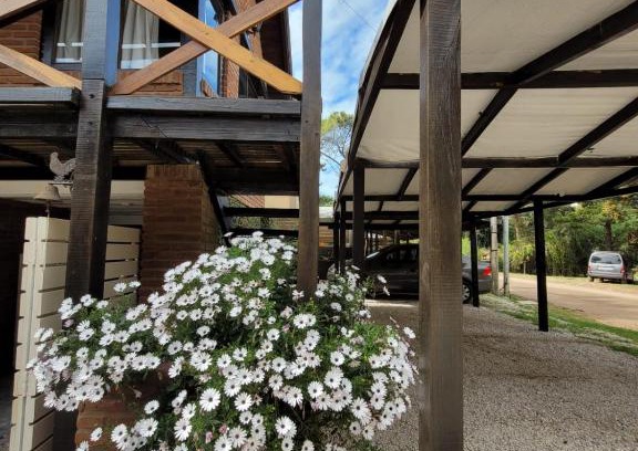 Las Gaviotas Apartment | Reinamora Playa