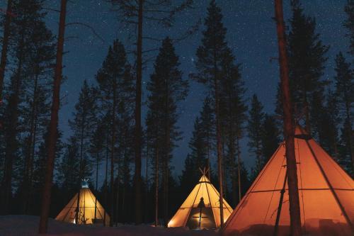 Tavelsjo Other | Reindeer Ranch