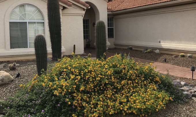 Saddlebrooke House | Relax With A Gorgeous Panoramic Golf Course and Mountain View