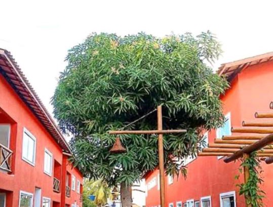 Parafuso Apartment | Residencial Ecoville das Mangueiras 3km da praia de Guarajuba, 27km do centro de Camacari CEP 42839-874