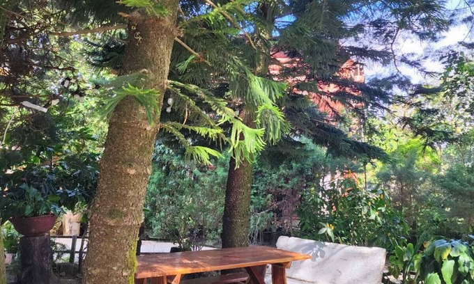 Los Naranjos Cabin | Residencial El Cielo a Wonderful Place in the mountain range at Los Naranjos ESV