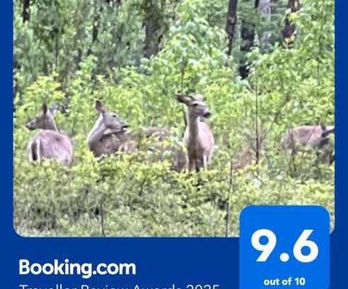 Jones Mills House | Resort Home on half a Wooded Acres Sleeps up to 14 Firepit for Smores