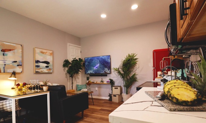 Woodbury Apartment | RetroChic★Parking★950Mb★20min->CenterCity&Airport1