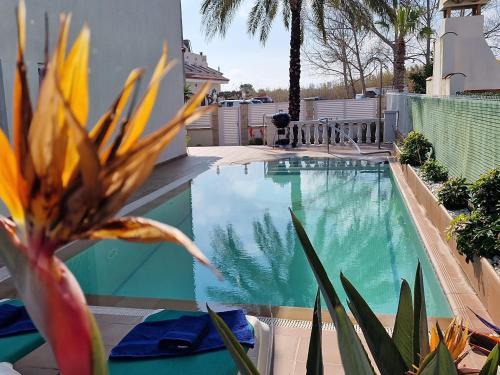 Riumar House | Riumar "La Pinya", 500m to beach, Privat-Pool, On-Site-Service, dog beach