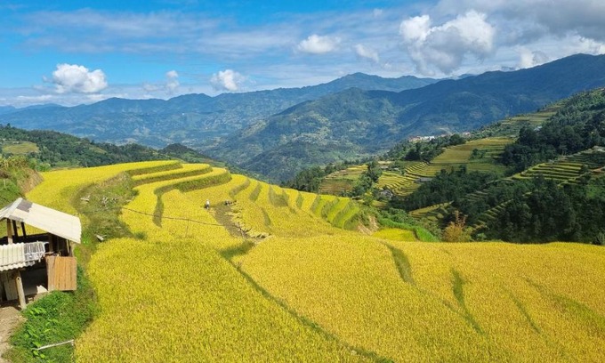 Ta Su Choong Cabin | Riz d'Or Ermitage - Hoang Su Phi