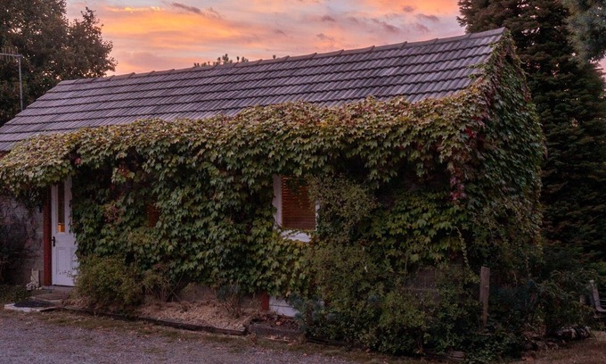 Penguin Cottage | Romantic Farm Cottage with Miniature Goats