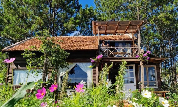 Da Lat Ski Chalet | Romantic house on a pine hill Dalat
