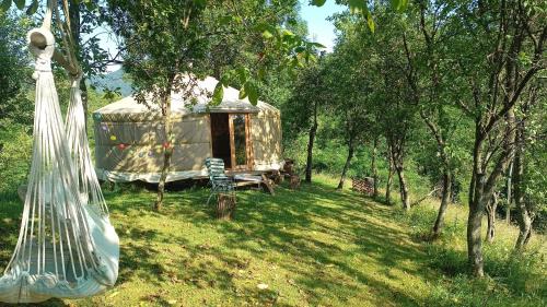 Buces Other | Romantic yurt in Apuseni mountains