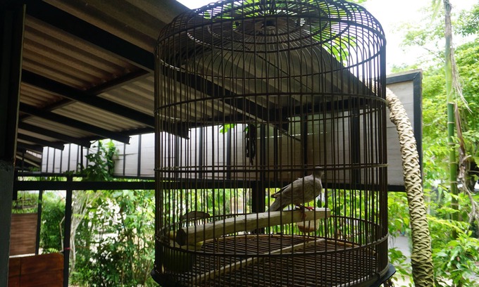 Trang Hotel | Rommai Plai Tawan Trang