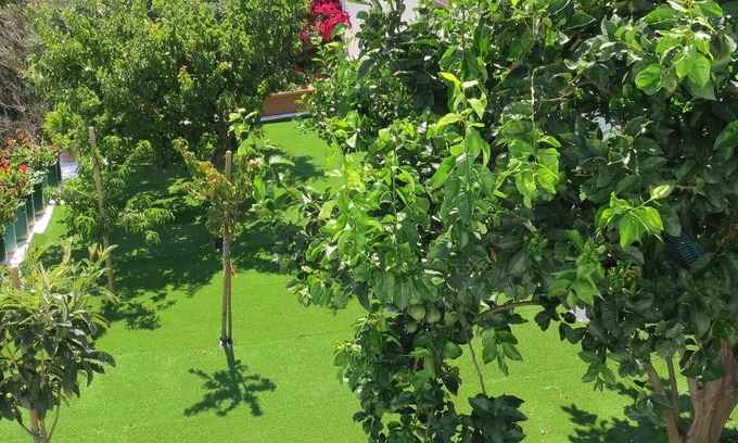 Pitrofos Villa | Room-andoni's House in Pitrofos Andros i