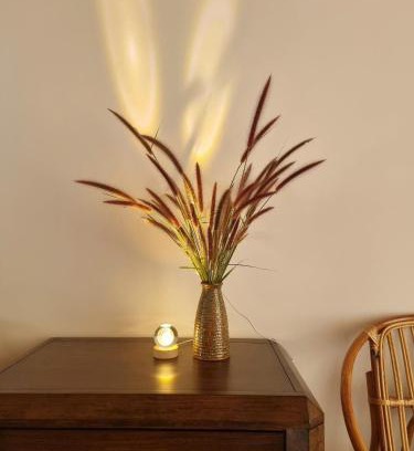 Di Linh Other | Rosee de Kala - Golden Buurin