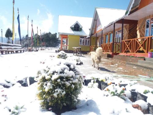 Okhrey House | Royal Barsey - Okhrey