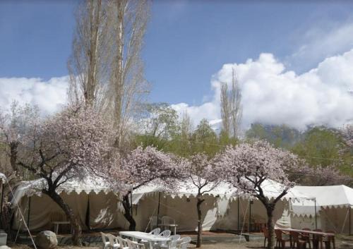 Hunder Bed & Breakfast | Royal Deluxe Camp & Resort, Hunder- Nubra
