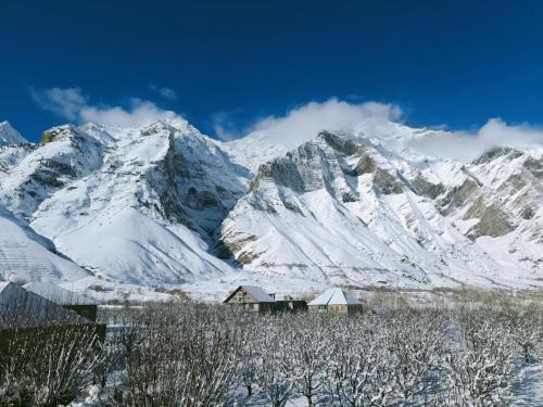 Keylong House | Rupi Rani Home Stay