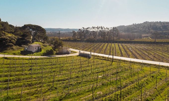 Obidos Cottage | Rustic House near Obidos Castle