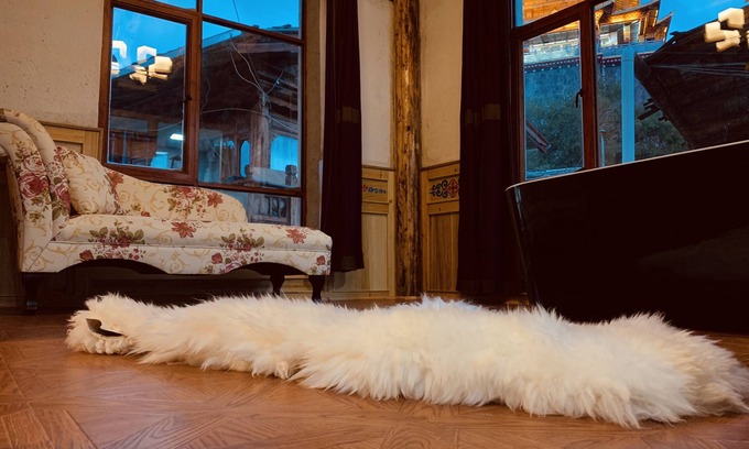 Shangri-La Hotel | Rustic Skies