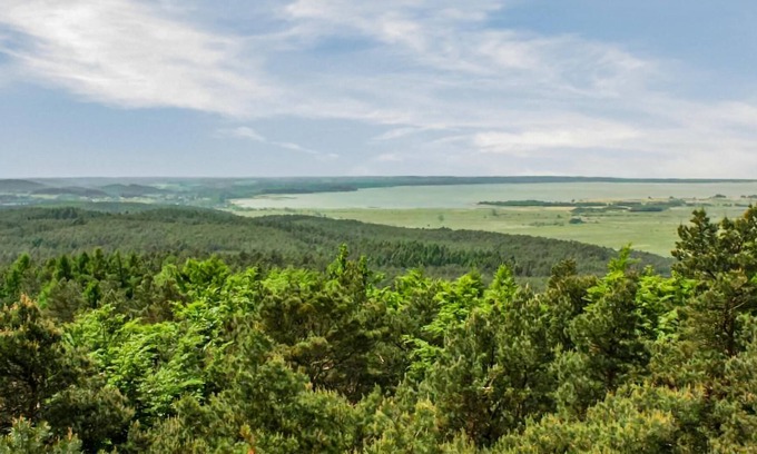 Lokciowe House | Rustic wooden house in beautiful nature for small family.