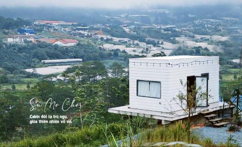 Lac Duong Other | Sú Mỏ Choi Đà Lạt