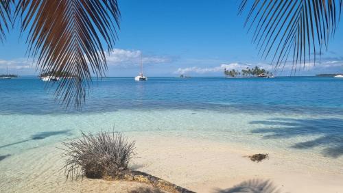 Carti Tupile Boat Rental | Sailing Experiences - Full Catamaran with skipper