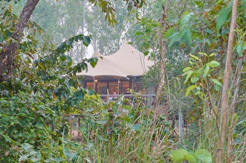 Baihar Hotel | Saja and Sal The Chief's Tent