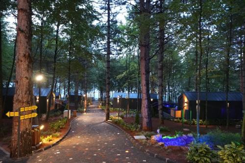 Kartepe Hotel | Saklı Vadi Tiny House