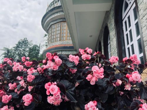 Namchi House | Sakura stay