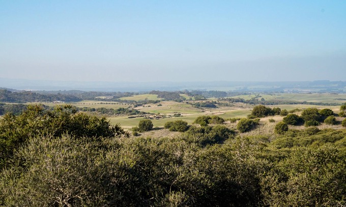 St. Andrews Beach House | Salt Bush - Great views nestled in the moonahs