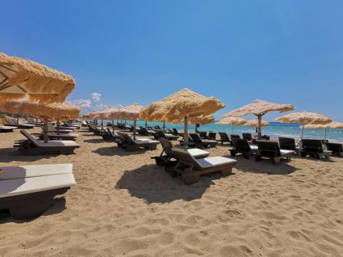 Padula Fede Bed & Breakfast | Samanà B&B con Spiaggia Privata a Punta Prosciutto