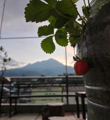 Sei Pinang House | Samara homestay