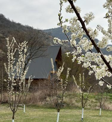 Kvemo Kartli Ski Chalet | Samshvilde Hideaway