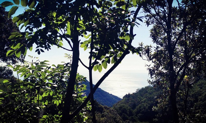 San-Martino-di-Lota Cabin | Sans Murs Dans la Nature
