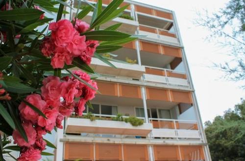 Marina di Pietrasanta Apartment | SaporeDiMare - Full Comfort Quiet Apartment with Seaview Rooftop Pool