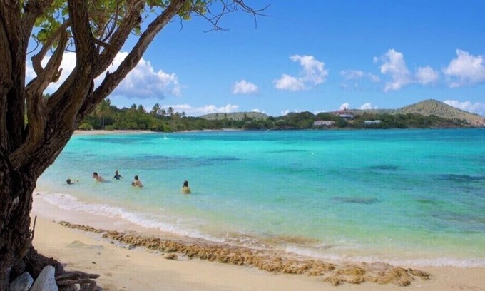 Red Hook Condo | Sapphire Beach; St Thomas USVI; Sleep 4; STEPS FROM BEACH