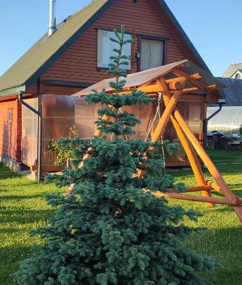 Utena county House | Saulėtekio 12