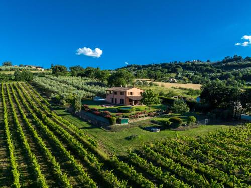 Guzman Villa | Scappo in Umbria, Mevania Villa