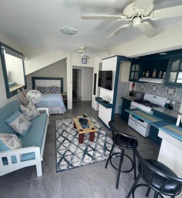 Haggatt Hall Apartment | Scarlett Studios 2 - US Embassy Appt 7 mins drive-Lloyd Erskine Sandiford Centre Ross University 5 mins drive - Only the 1 night package includes Airport and Embassy roundtrip