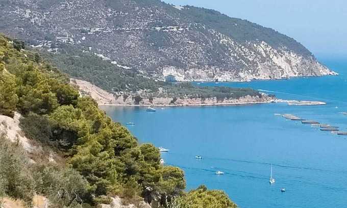 Mattinata Apartment | SeaScent GuestHouse