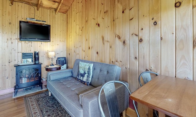 Thornton Cabin | Secluded cabin with WiFi, kitchenette, pool, tennis & firepit