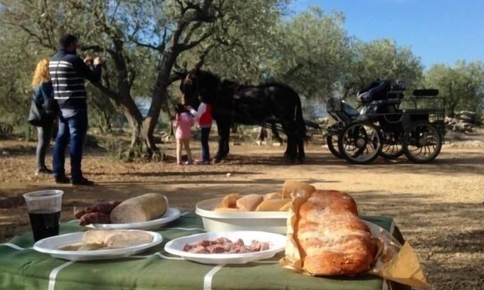 Avinyonet de Puigventos Cottage | Self catering Can Barraca for 5 people