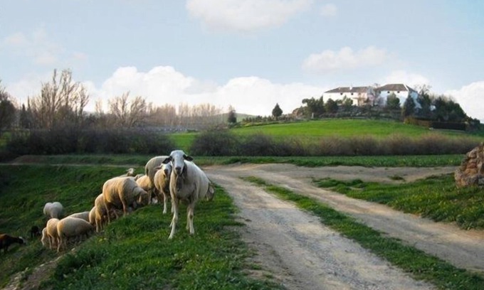 Alcala la Real Cottage | Self catering Cortijo La Gineta for 6 people