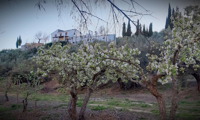 Villacarrillo Cottage | Self catering Cortijo El Capricho for 7 people