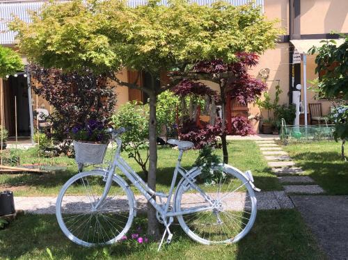 San Daniele del Friuli Bed & Breakfast | Sensory Garden