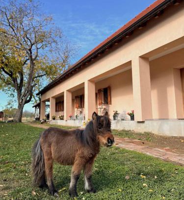 Gorjani Bed & Breakfast | Seoski turizam Jagodić