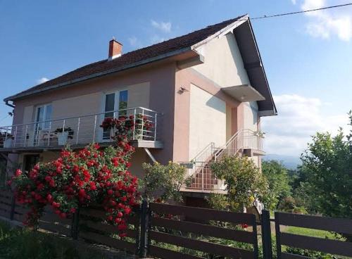 Valjevo House | Seosko domacinstvo Nedic