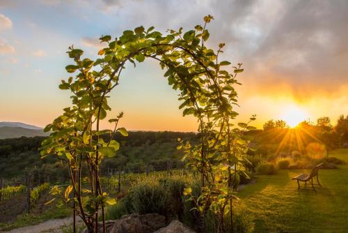 Gavorrano House | Sequerciani