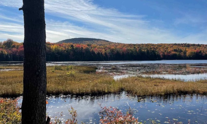 Blue Hill House | Serene Pondside Cottage w/Private Island Camping!